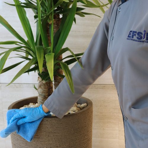 services- Sustainability and Environment