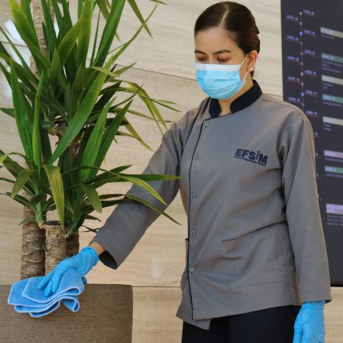 services - soft services